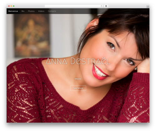 WordPress Portfolio Plugin (WP Portfolio) (wp-portfolio) free WordPress plugin - annadestrael.com WordPress Portfolio Plugin (WP Portfolio) (wp-portfolio) free WordPress plugin - annadestrael.com