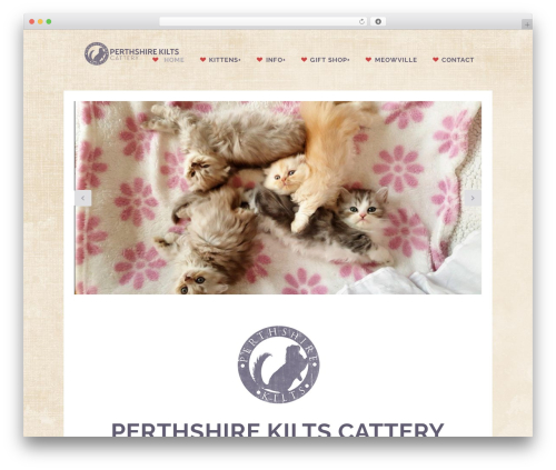 Gravity tooltips master WordPress plugin - perthshirekilts.com