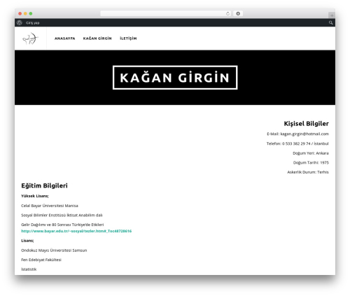 WP Pipes (wp-pipes) free WordPress plugin - kagangirgin.com