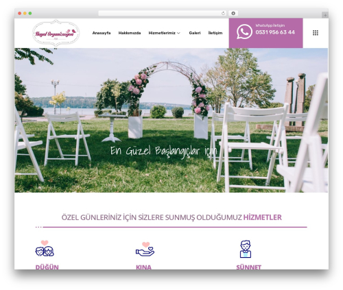 Instive essential WordPress plugin - hayalorganizasyon.com.tr
