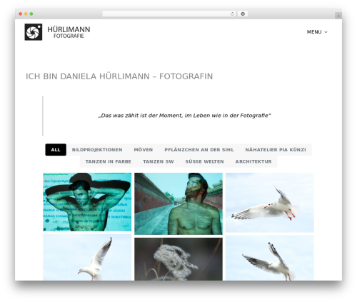 Dsgvo pixelmate premium WordPress plugin - huerlimann-fotografie.ch