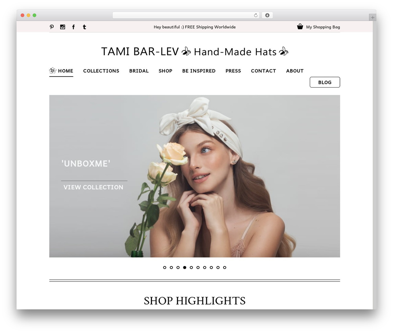 Avada WordPress theme design - tamibarlev.com