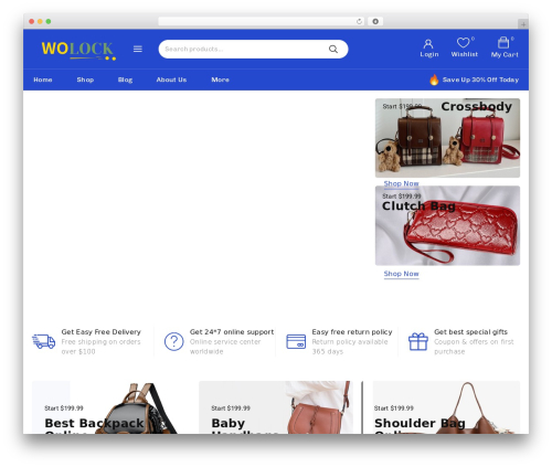 Coderplace core WordPress plugin - wolock.com
