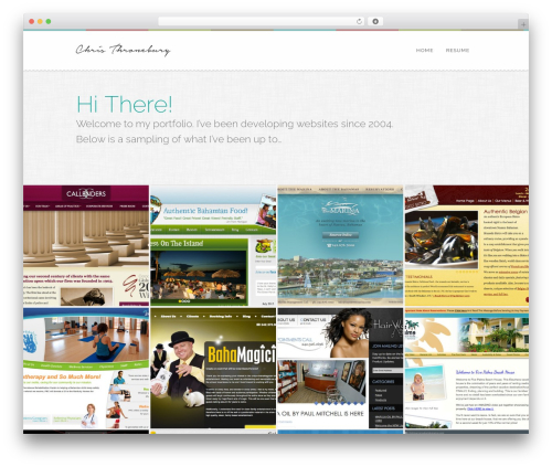 GridStack WordPress portfolio theme - thronebury.com