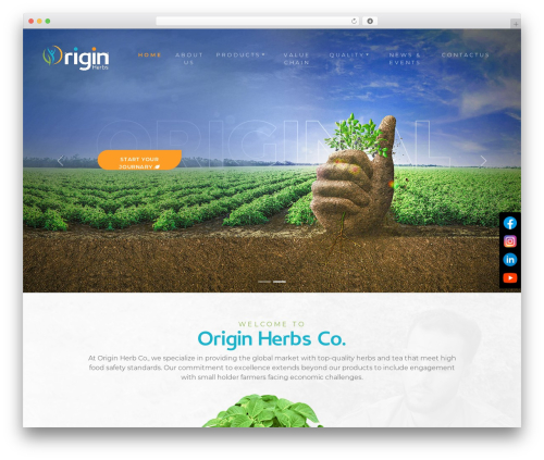 Sticky social link WordPress plugin - origin-herbs.com