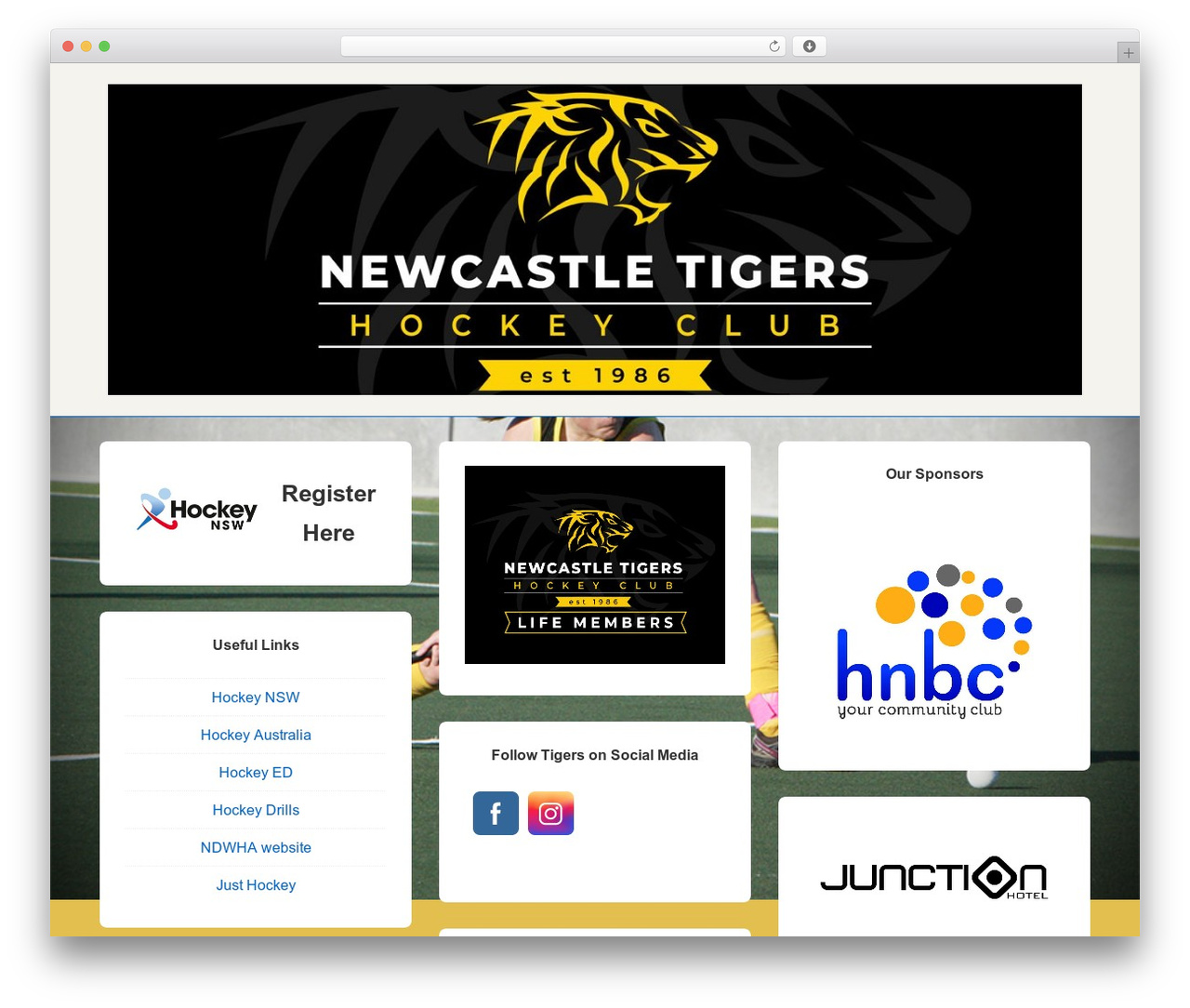 Responsive free WordPress theme - tigers.asn.au