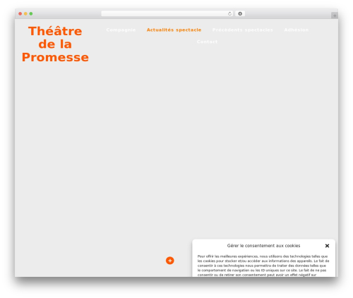 Theme WordPress Hello Elementor - promesse-theatre.com