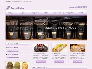 Theme WordPress theme300