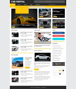 theme54849 theme WordPress
