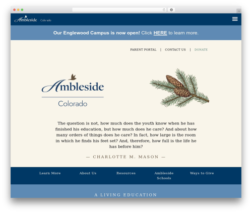 WordPress theme LEVELUP - amblesidecolorado.com