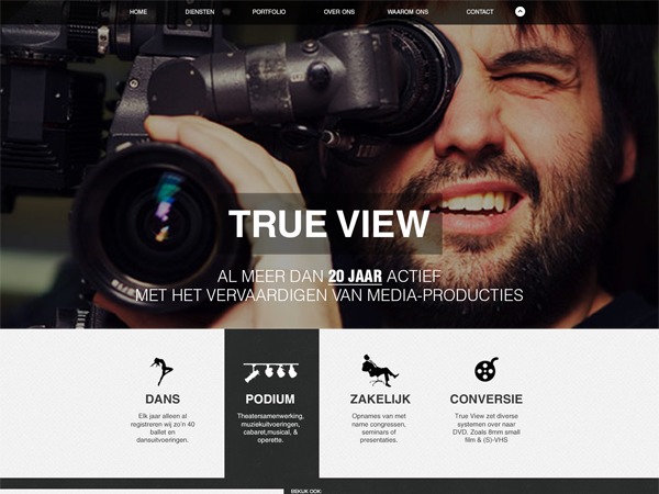 WordPress theme Trueview by 36Creative