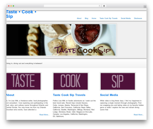 WP Opulus WordPress theme design - tastecooksip.com