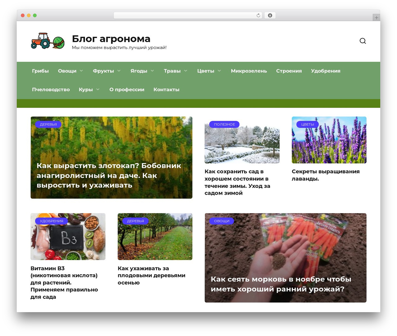 Theme WordPress Reboot - agronom-blog.ru Theme WordPress Reboot - agronom-blog.ru