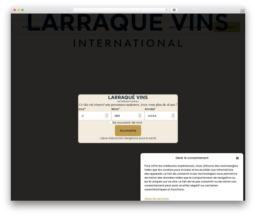 Wordpress Starter WordPress theme - larraquevinsinternational.com