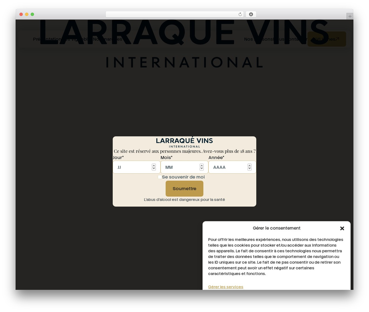 Wordpress Starter WordPress theme - larraquevinsinternational.com