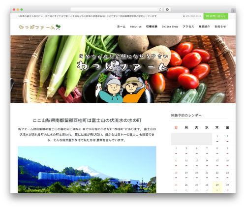 Mts simple booking c WordPress plugin - wappa-farm.com