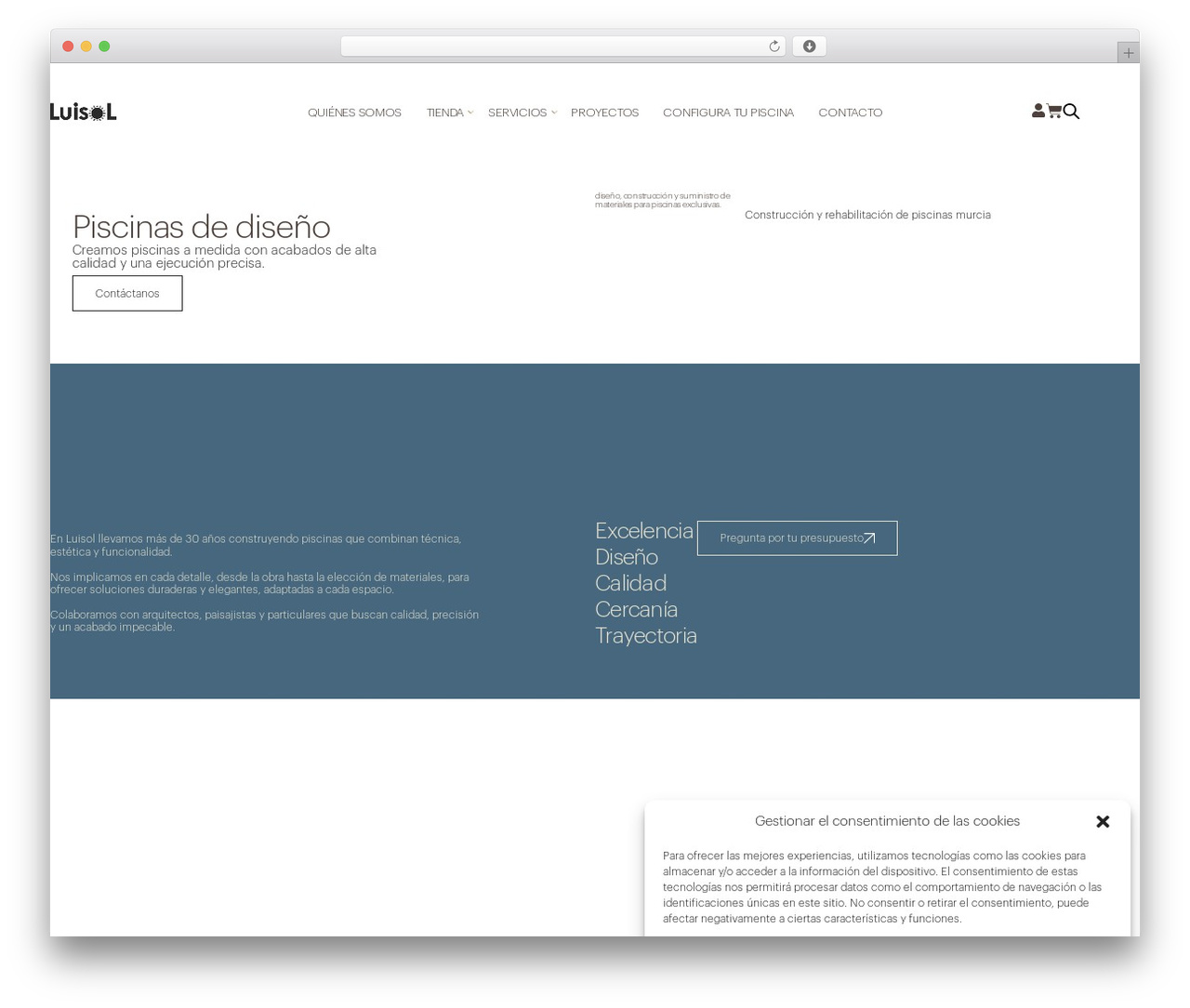 WordPress theme delefant - piscinasluisol.com