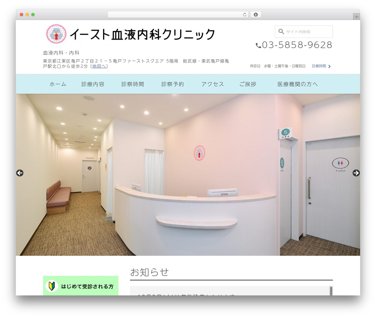 WordPress theme theme - east-hem.clinic WordPress theme theme - east-hem.clinic