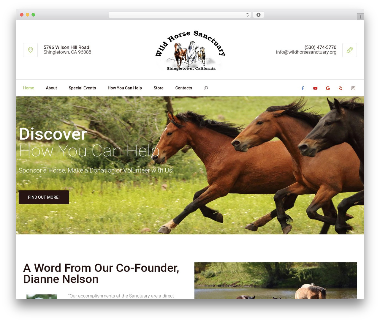 Best WordPress theme Equestria - wildhorsesanctuary.org