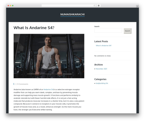 Finch theme WordPress - numaishkarachi.com