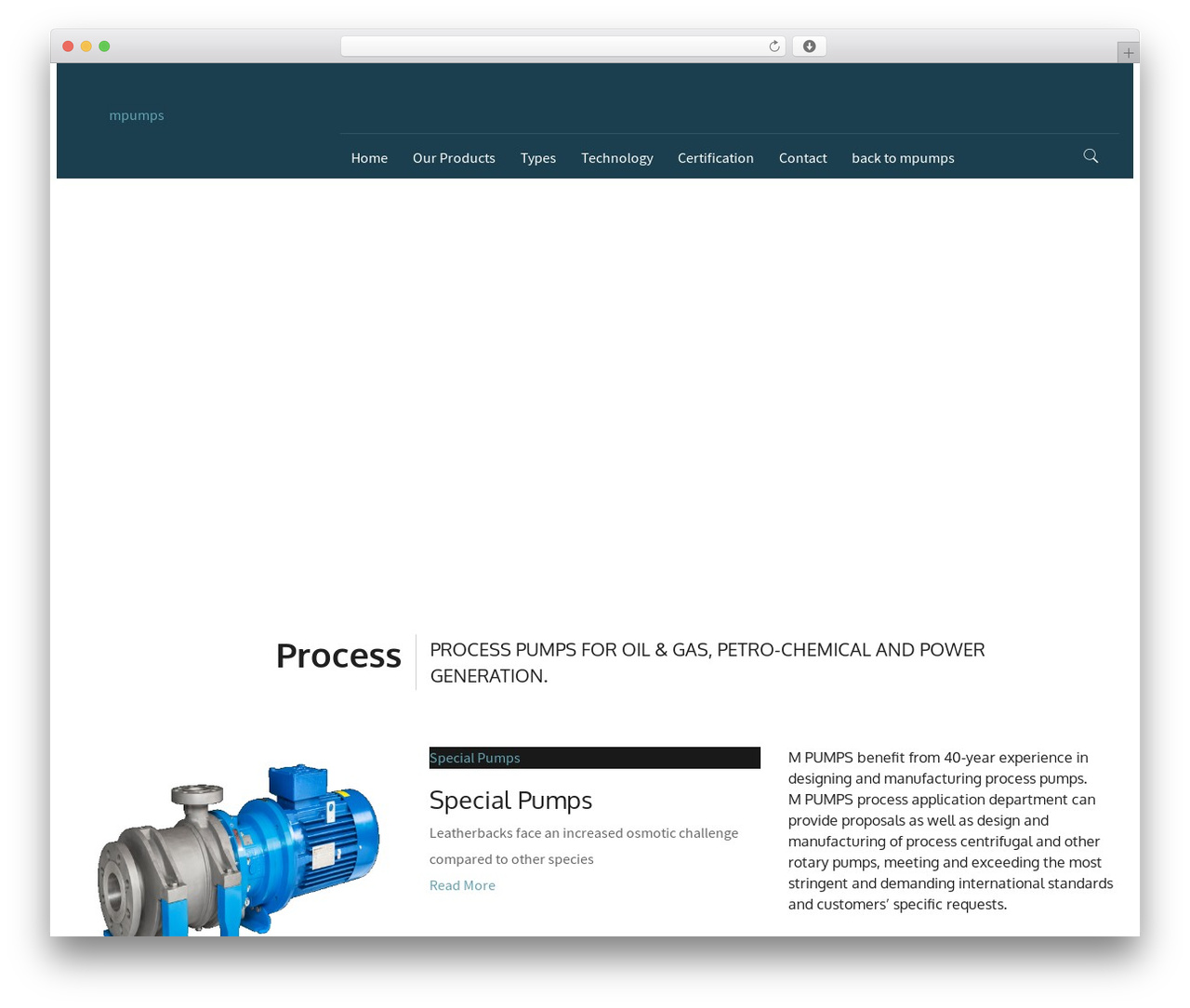 Grade WordPress theme design - mpumpsprocess.com