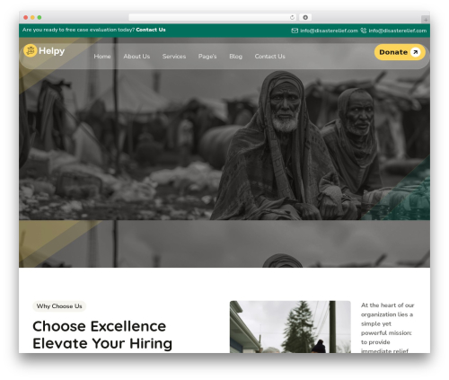 Vl core WordPress plugin - helpy.vikinglab.agency