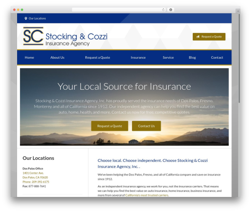 SB5 WordPress theme - stockingcozzi.com