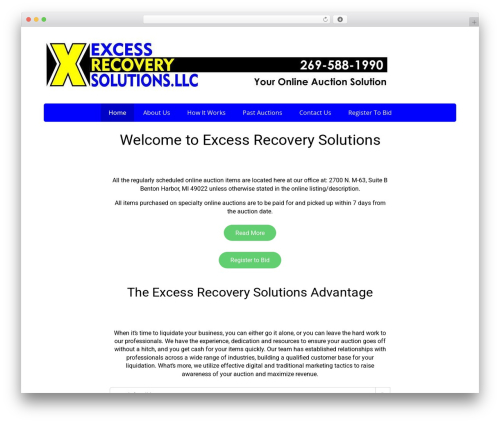 Maxanet auction WordPress plugin - ersmi.com