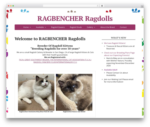 Basic WordPress theme download - ragdollkitties.com