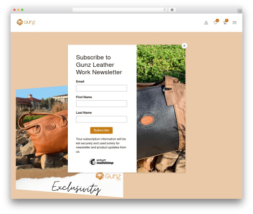 Drile WordPress theme - gunzleather.com
