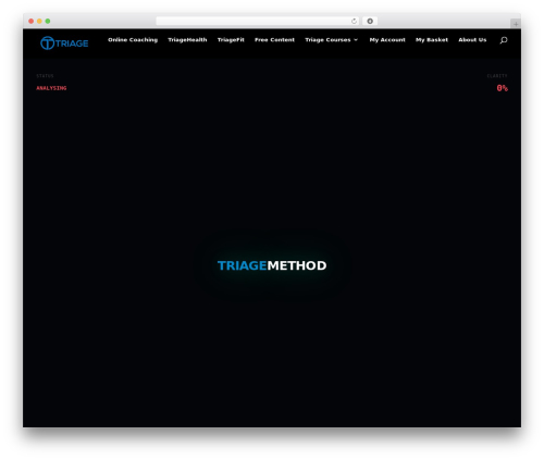 Divi WordPress theme - triagemethod.com