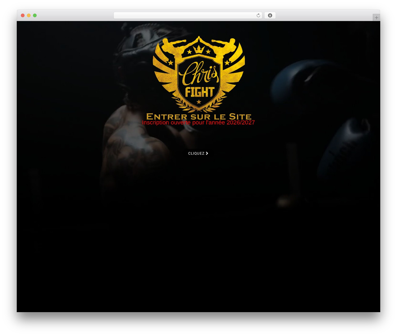 Knockout theme WordPress - chrisfight.com