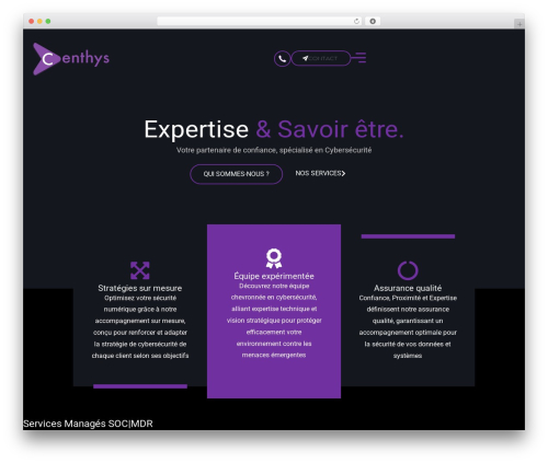 WordPress theme Centhys - centhys.com
