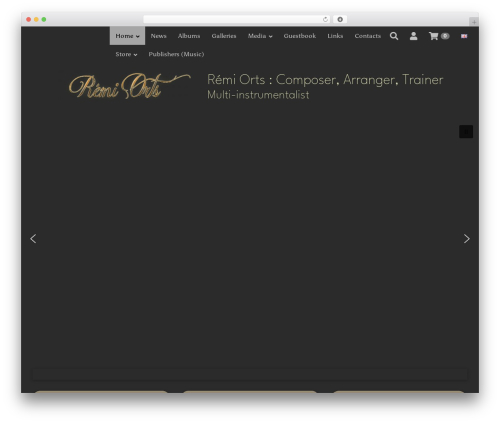 Theme WordPress 6temflex - remiorts.com