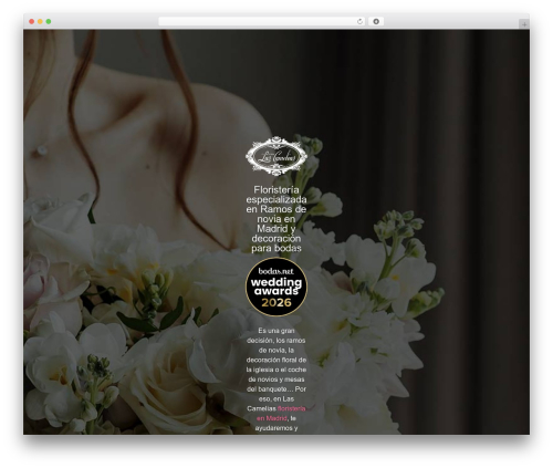 WordPress Form Customizer | CF7 Customizer (cf7-customizer) free WordPress plugin - artefloralnovias.com