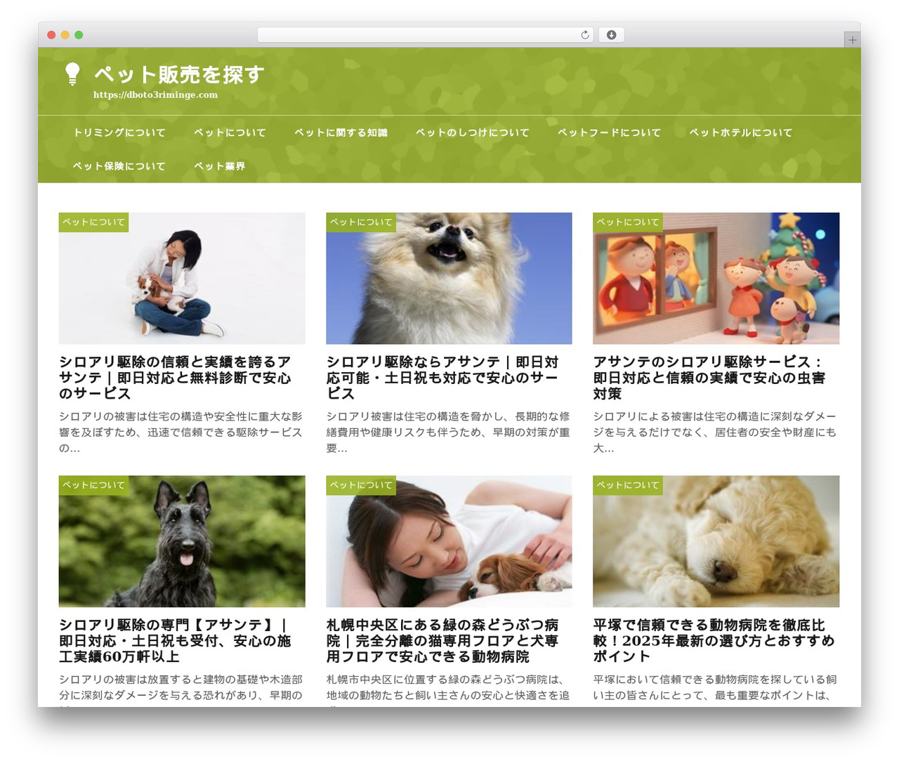 theme706 WordPress theme - dboto3riminge.com