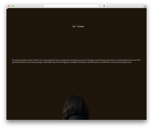 WordPress website theme Scroll Studio - thebrands.at
