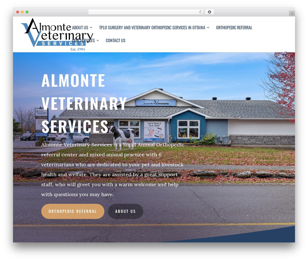 Divi WordPress theme - almontevet.com Divi WordPress theme - almontevet.com