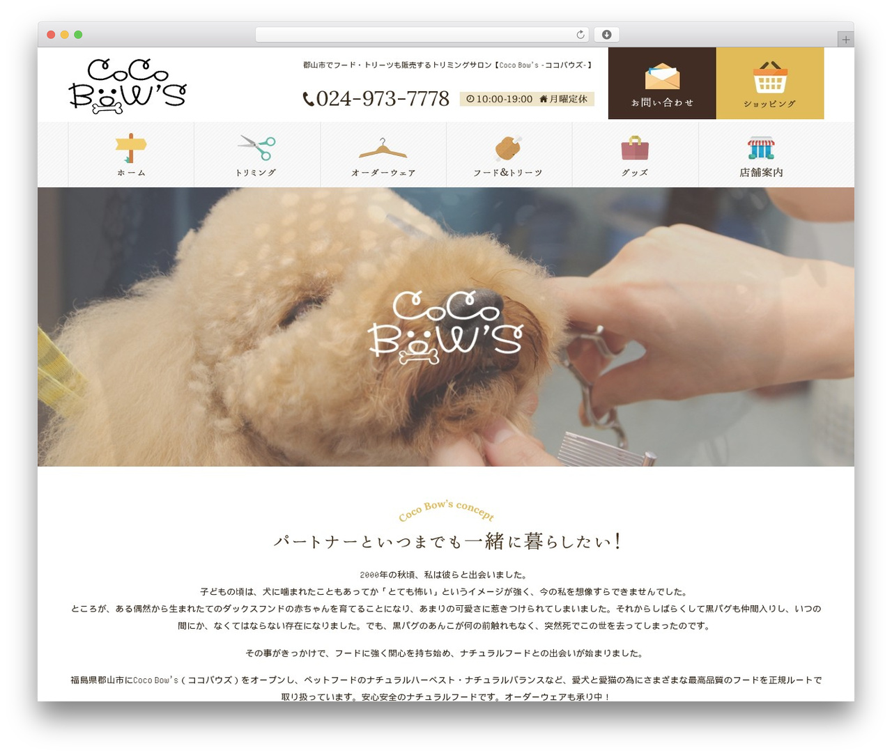 Theme WordPress Themify Basic - coco-bows.com Theme WordPress Themify Basic - coco-bows.com