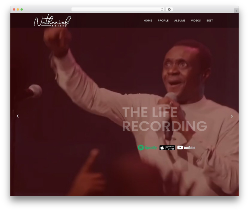 WordPress theme Shuffle - nathanielbassey.com