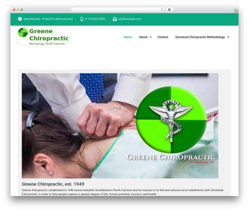 Derma Care premium WordPress theme - drgreenechiropractic.com