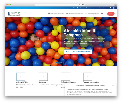 Divi WordPress theme - upacesur.org