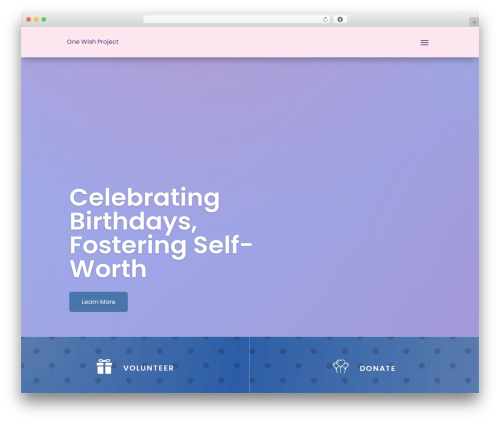 Ds gravity forms for divi WordPress plugin - onewishproject.org