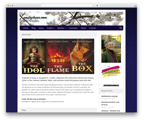 Nevertheless theme WordPress - emilychase.com