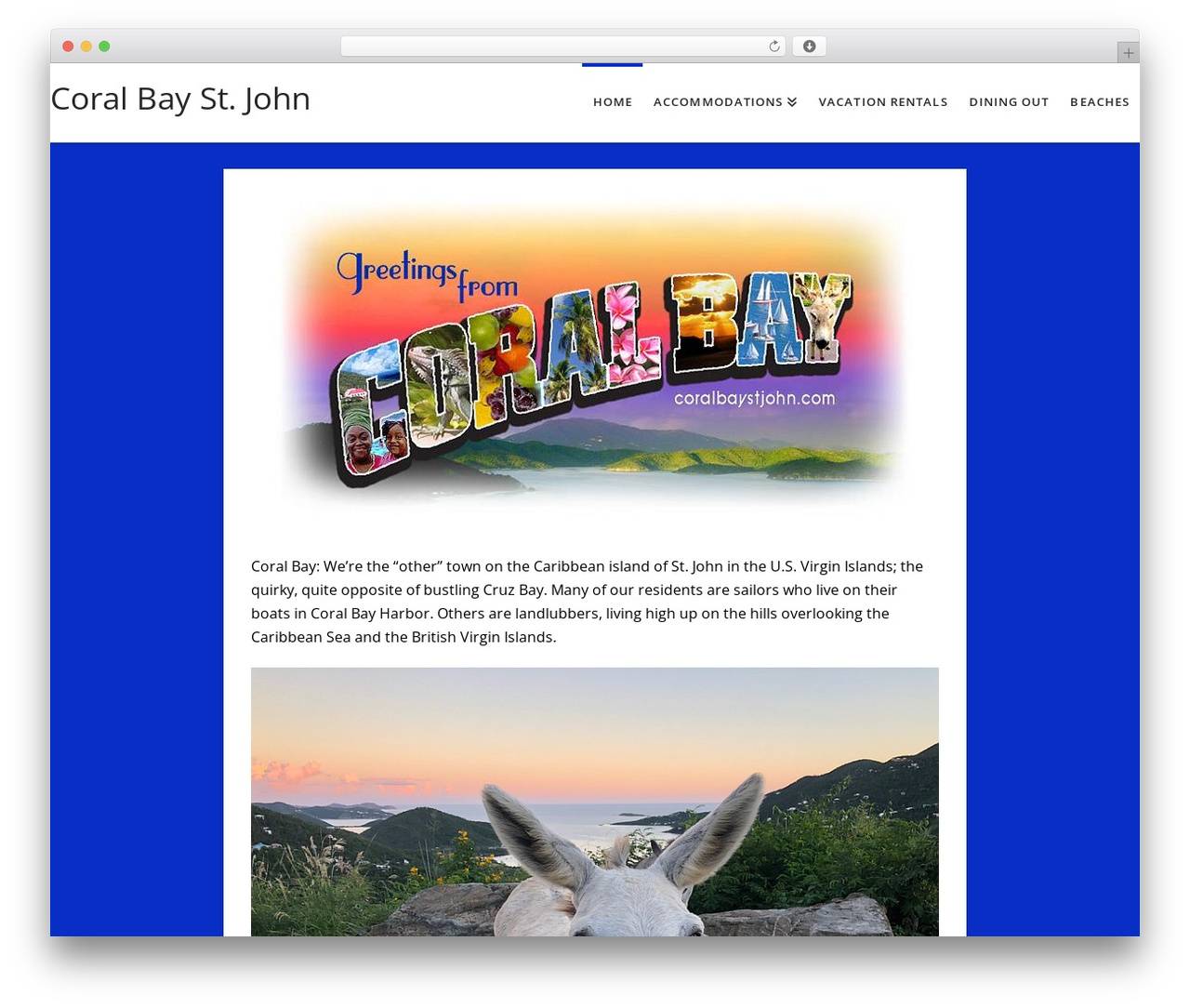 X WordPress theme - coralbaystjohn.com X WordPress theme - coralbaystjohn.com