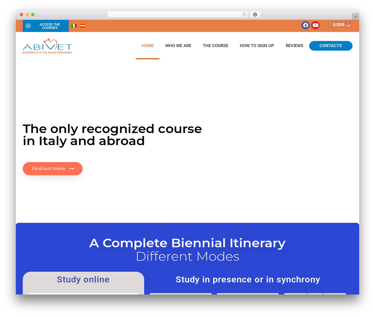 Theme WordPress Storefront - vetnurselearning.com