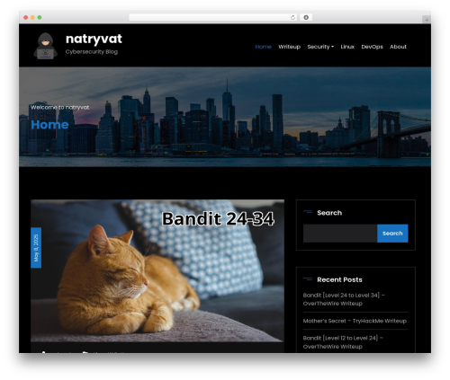 Terminal block WordPress plugin - natryvat.com