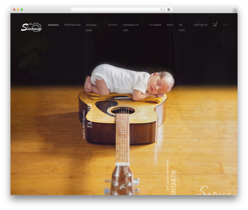 Ashade WordPress theme - snowystudio.com