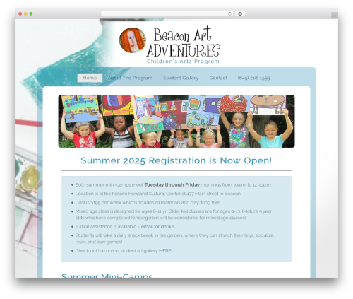 Gravityformsstripe WordPress plugin - beaconartadventures.com