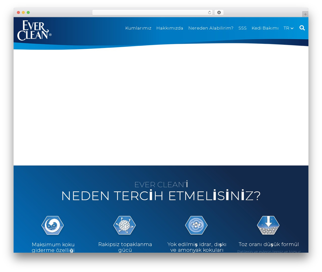 Everclean theme WordPress - www.everclean.com.tr
